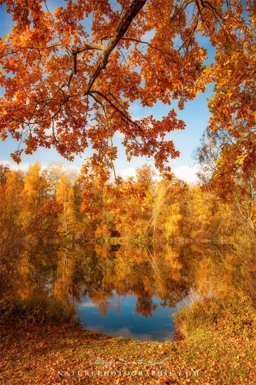 LA SUISSE DES LACS - HISTOIRES D’AUTOMNE AU BORD DE L’EAU