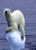 La fonte de glaces sous haute suveillance