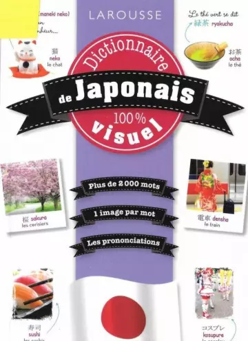 Dictionnaire de japonais 100% visuel  [Livres]