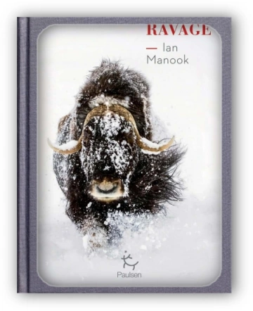 Ravage  Ian Manook  [Livres]