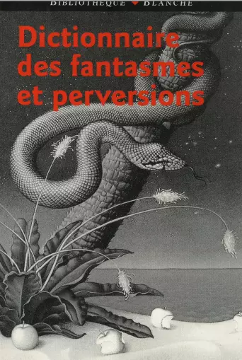 DICTIONNAIRE DES FANTASMES ET PERVERSIONS  [Livres]