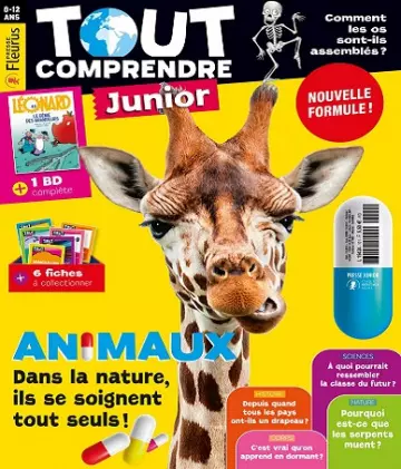 Tout Comprendre Junior N°101 – Septembre 2021  [Magazines]