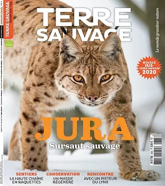 Terre Sauvage N°383 – Décembre 2020  [Magazines]