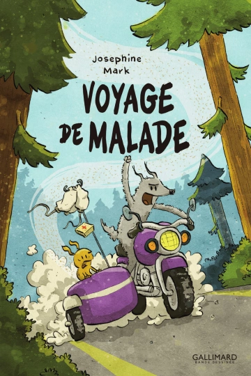 Voyage de Malade  [BD]