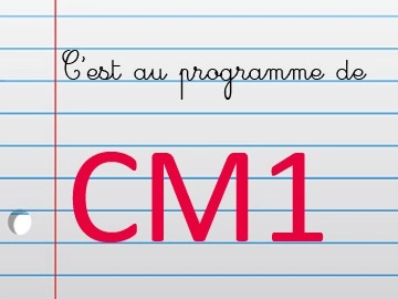 FICHES PÉDAGOGIQUES LES FICHES DE L'ÉCOLE CM1  [Livres]