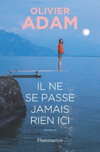 Il ne se passe jamais rien ici Olivier Adam  [Livres]