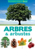 Encyclopédie visuelle des arbres & arbustes  [Livres]