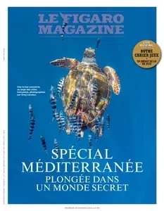 Le Figaro Magazine - 19 Juillet 2024  [Magazines]