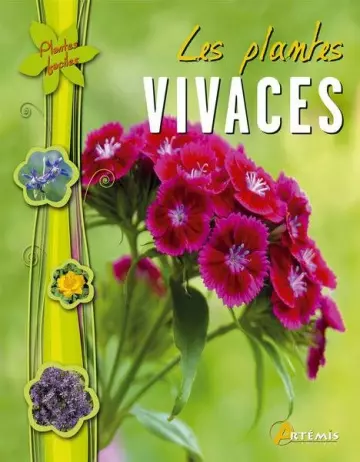 LES PLANTES VIVACES  [Livres]