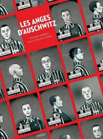 LES ANGES D'AUSCHWITZ  [BD]