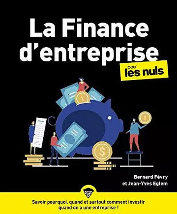 La Finance d'entreprise pour les Nuls  [Livres]