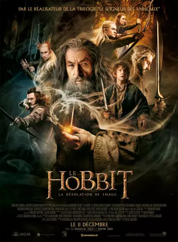 Le Hobbit : la Désolation de Smaug  [BDRIP] - TRUEFRENCH