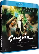 Gauguin - Voyage de Tahiti  [WEB-DL 1080p] - FRENCH