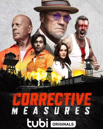 Corrective Measures  [BDRIP] - FRENCH