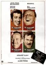 Le Cerveau  [Dvdrip XviD] - FRENCH