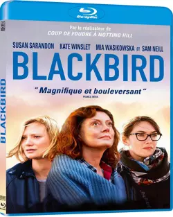 Blackbird  [HDLIGHT 720p] - FRENCH