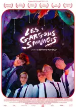 Les Garçons sauvages  [BDRIP] - FRENCH