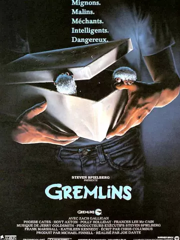 Gremlins  [DVDRIP] - FRENCH