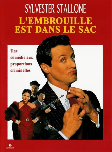 L'Embrouille est dans le sac  [WEBRIP] - TRUEFRENCH