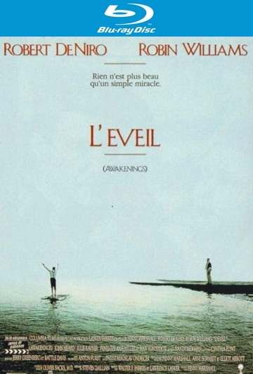 L'Eveil  [HDLIGHT 1080p] - MULTI (FRENCH)