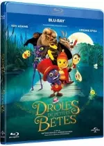 Drôles de petites bêtes  [BLU-RAY 720p] - FRENCH