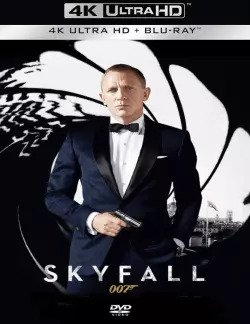 Skyfall [BLURAY REMUX 4K] - MULTI (TRUEFRENCH)