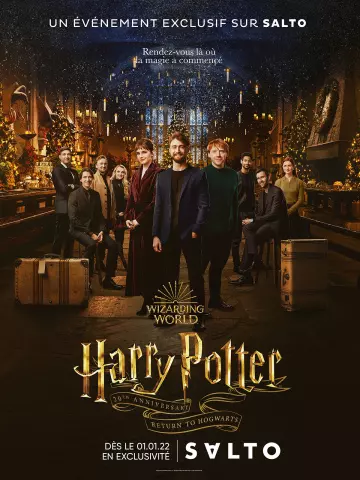 Harry Potter : Retour à Poudlard  [WEB-DL 1080p] - VO