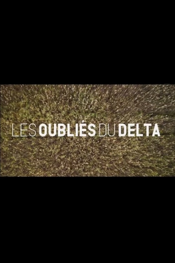 Les Oubliés du Delta [WEB-DL 1080p] - FRENCH