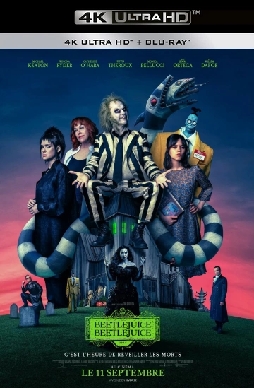 Beetlejuice Beetlejuice [4K LIGHT] - MULTI (TRUEFRENCH)