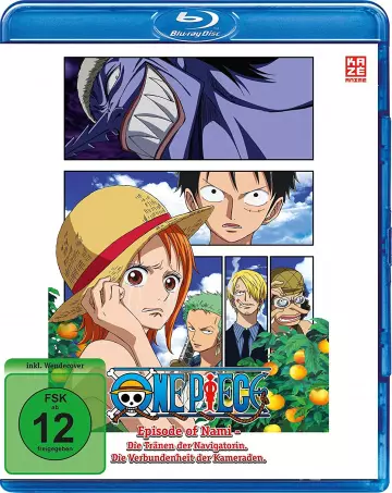 One Piece : Episode de Nami (TV)  [BLU-RAY 1080p] - MULTI (FRENCH)