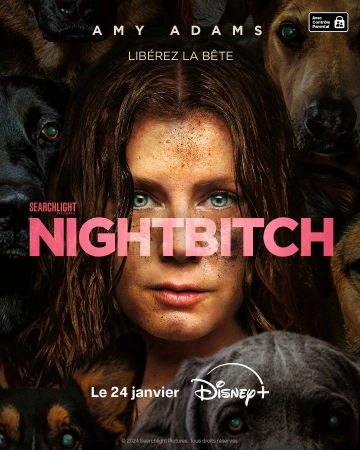 Nightbitch [WEB-DL 1080p] - MULTI (FRENCH)