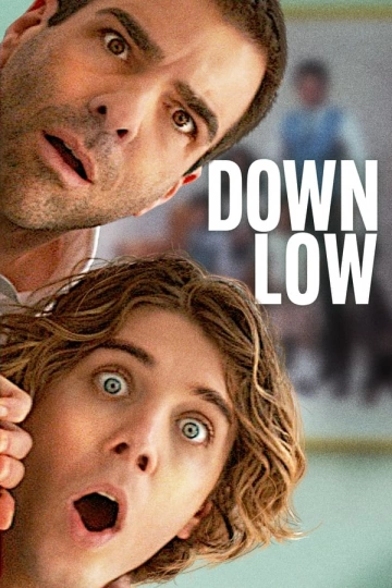 Down Low  [WEB-DL 1080p] - MULTI (FRENCH)