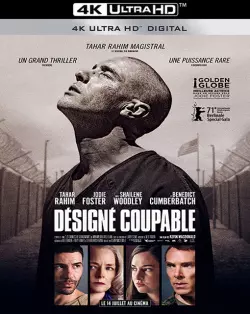 Désigné Coupable [WEB-DL 4K] - MULTI (FRENCH)