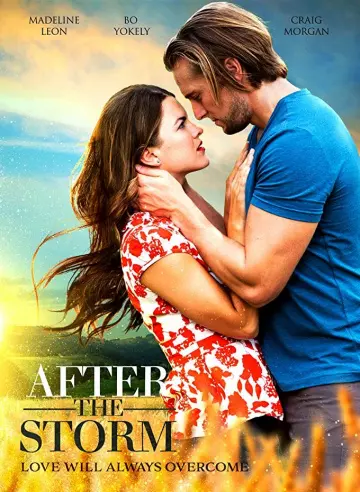 After The Storm  [WEBRIP] - TRUEFRENCH