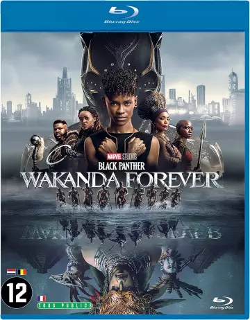 Black Panther : Wakanda Forever  [BLU-RAY 1080p] - VOSTFR