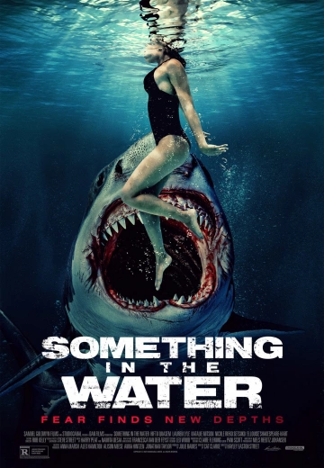 Something In The Water  [WEBRIP 720p] - FRENCH