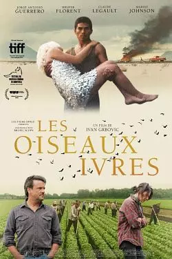 Les Oiseaux Ivres  [HDRIP] - FRENCH