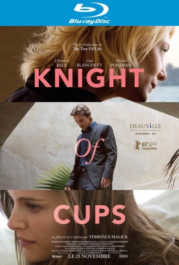 Knight of Cups  [HDLIGHT 1080p] - MULTI (FRENCH)