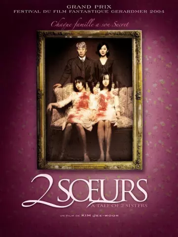 2 soeurs  [HDLIGHT 1080p] - MULTI (FRENCH)