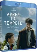 Après la tempête  [BLU-RAY 1080p] - FRENCH