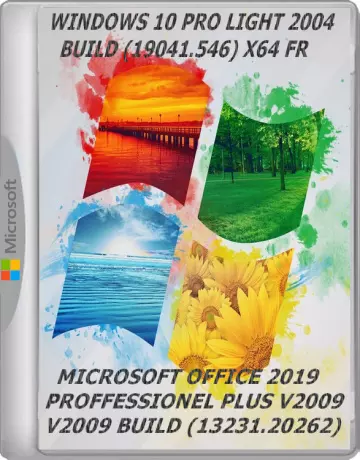 WINDOWS 10 PRO LIGHT 2004 19041.546 X64 FR & MICROSOFT OFFICE v2009 13231.20262