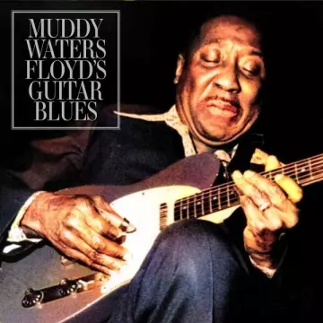 Muddy Waters - Floyd's Guitar Blues (Live)  [Albums]