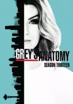 Grey's Anatomy - Saison 13 - VF